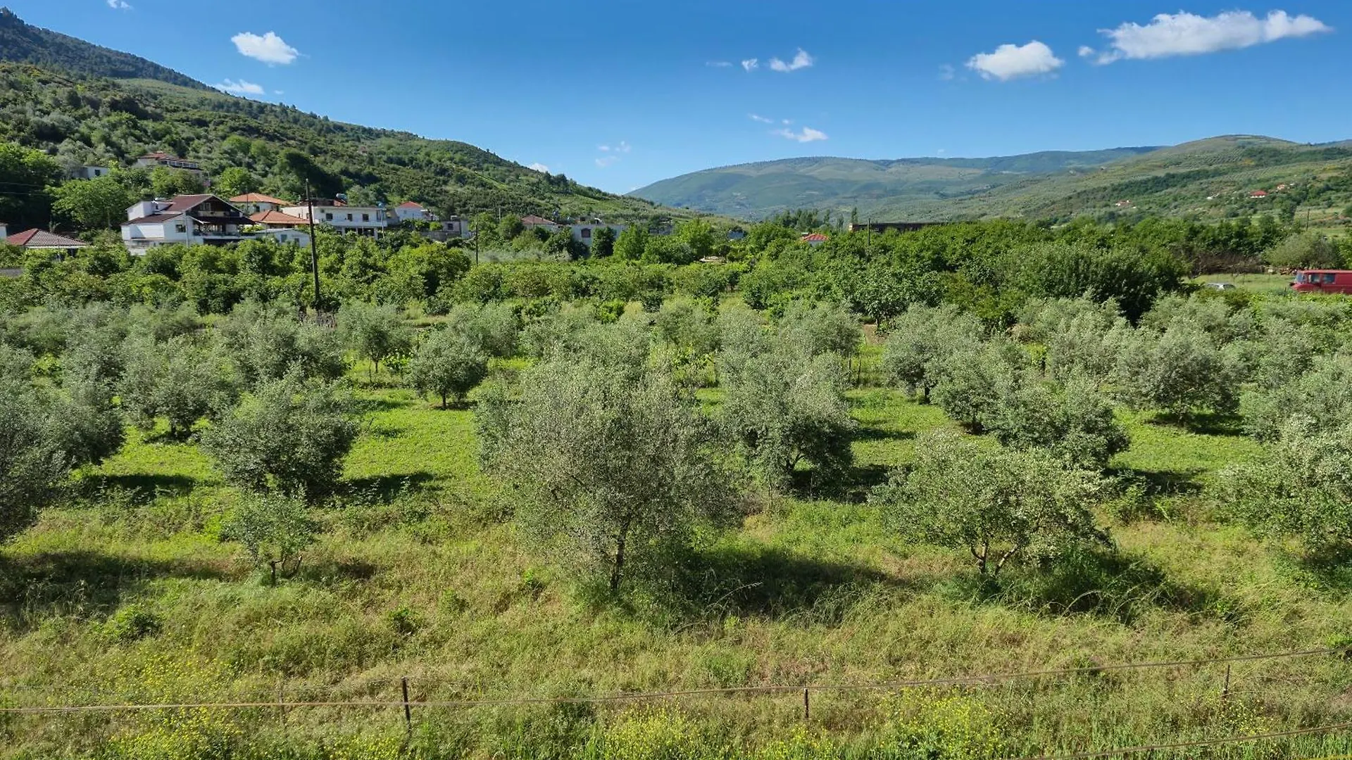 Villa Ari Berat